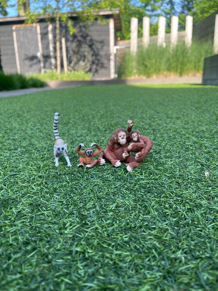 Apen en maki speelfiguren - Schleich, Ophalen of Verzenden, Gebruikt