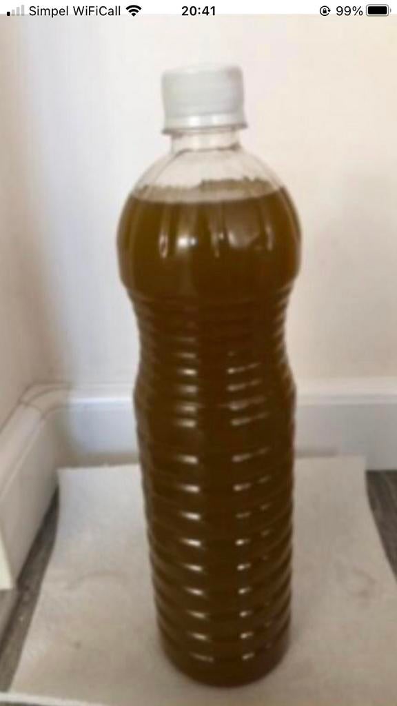 Pure olijfolie, Ophalen of Verzenden