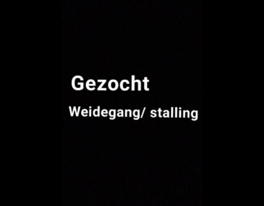 Gezocht stalling voor een merrie overijsel!