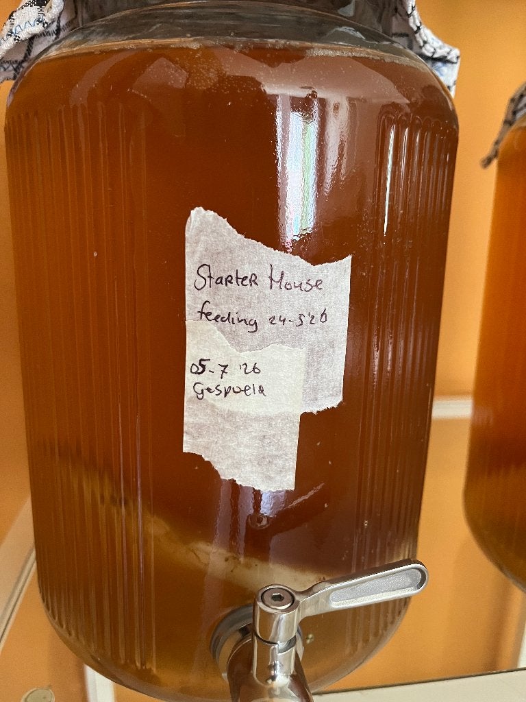 Verse Kombucha & SCOBY Starterkit (wisselend aanbod), Ophalen