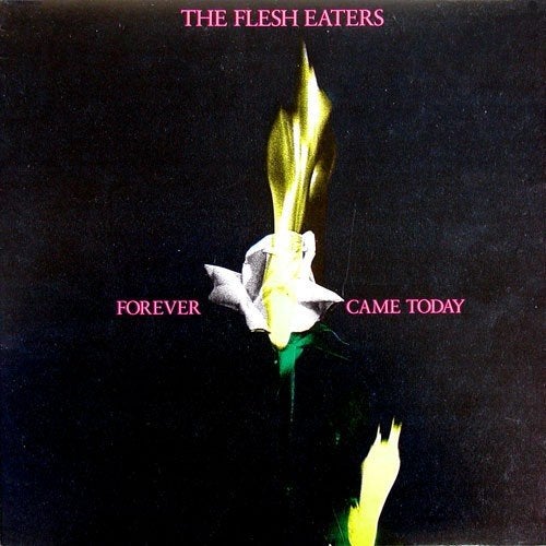 the flesh eaters/forever came today-garage/punk+binnenhoes+i, Gebruikt, Ophalen of Verzenden, Inclusief binnenhoes, Punk Rock