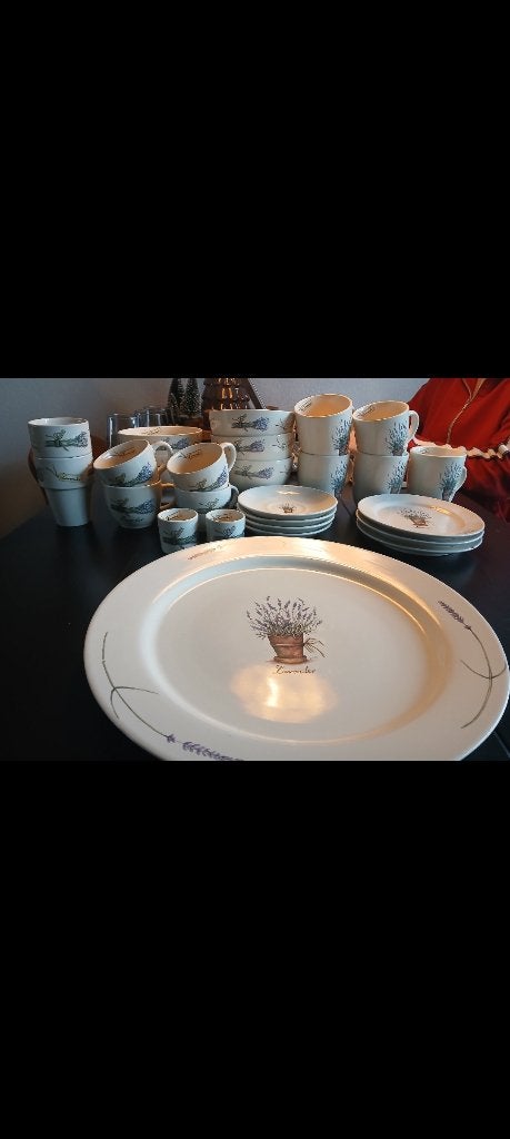 servies jet ter steege lavendel, Ophalen, Overige typen, Zo goed als nieuw, Overige stijlen