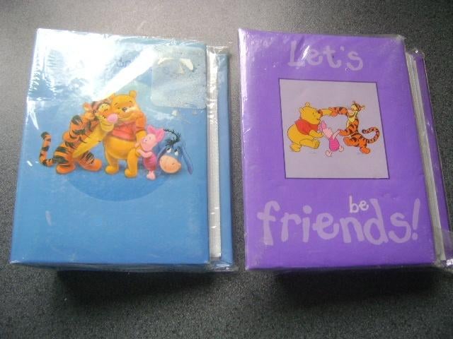 2 foto albums -- disney  paarse voor 100 foto 's, Ophalen of Verzenden, Nieuw