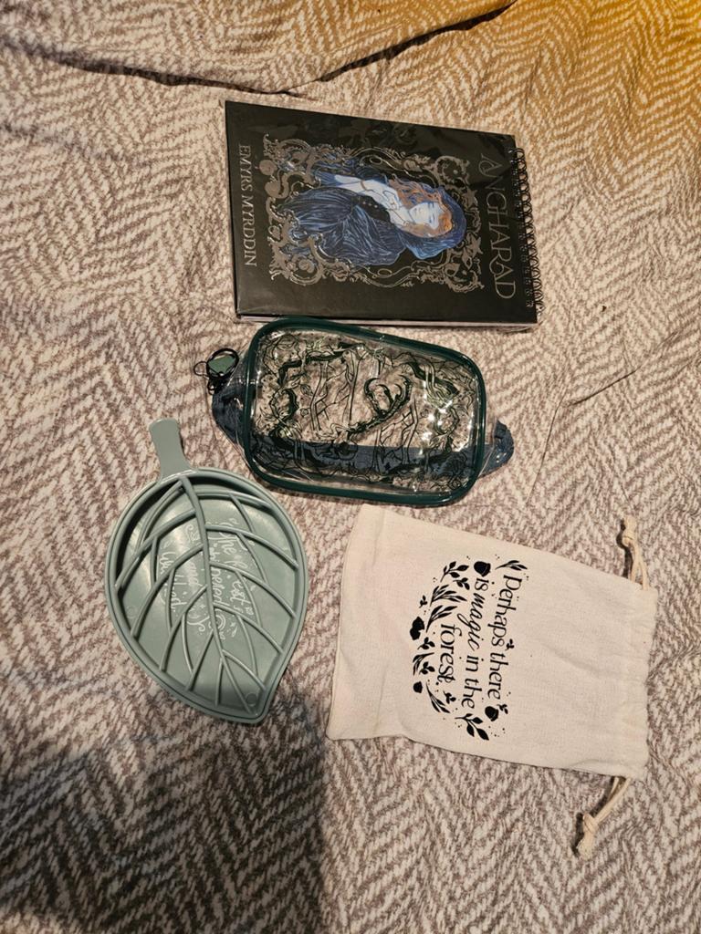 Nieuwe boek items van Fairyloot en Illumicrate, Boeken, Fantasy, Ophalen