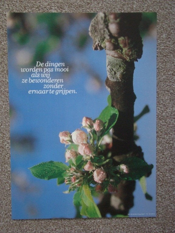 Poster met tak met bloesem, Ophalen, Rechthoekig Staand, Zo goed als nieuw, A1 t/m A3