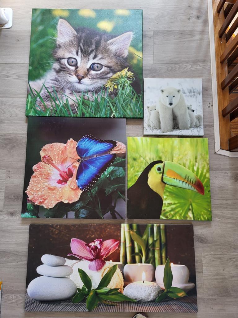 10 Schilderijen diverse canvas voor 15 euro, Gebruikt, Ophalen of Verzenden, Schilderij, 75 tot 100 cm