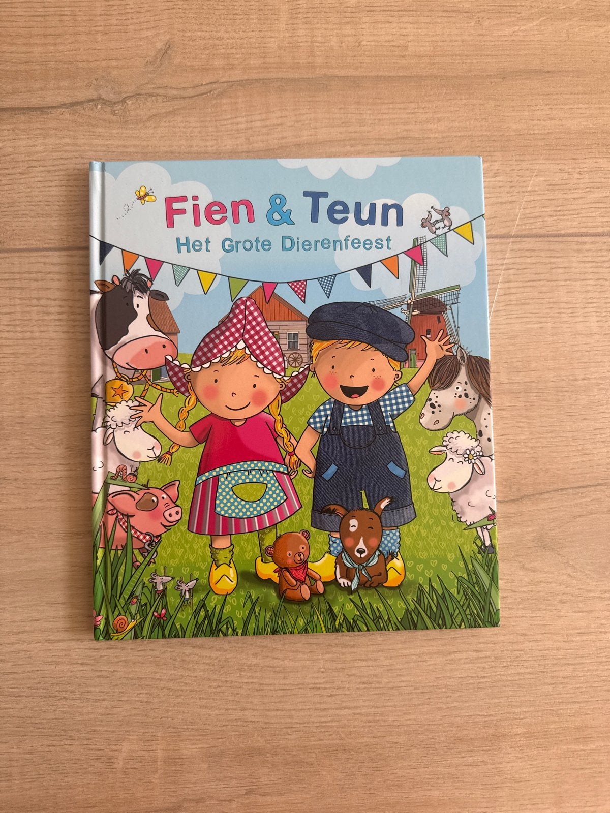 Fien & Teun Het Grote Dierenfeest - Zo goed als nieuw, Ophalen, Zo goed als nieuw, 2 tot 3 jaar