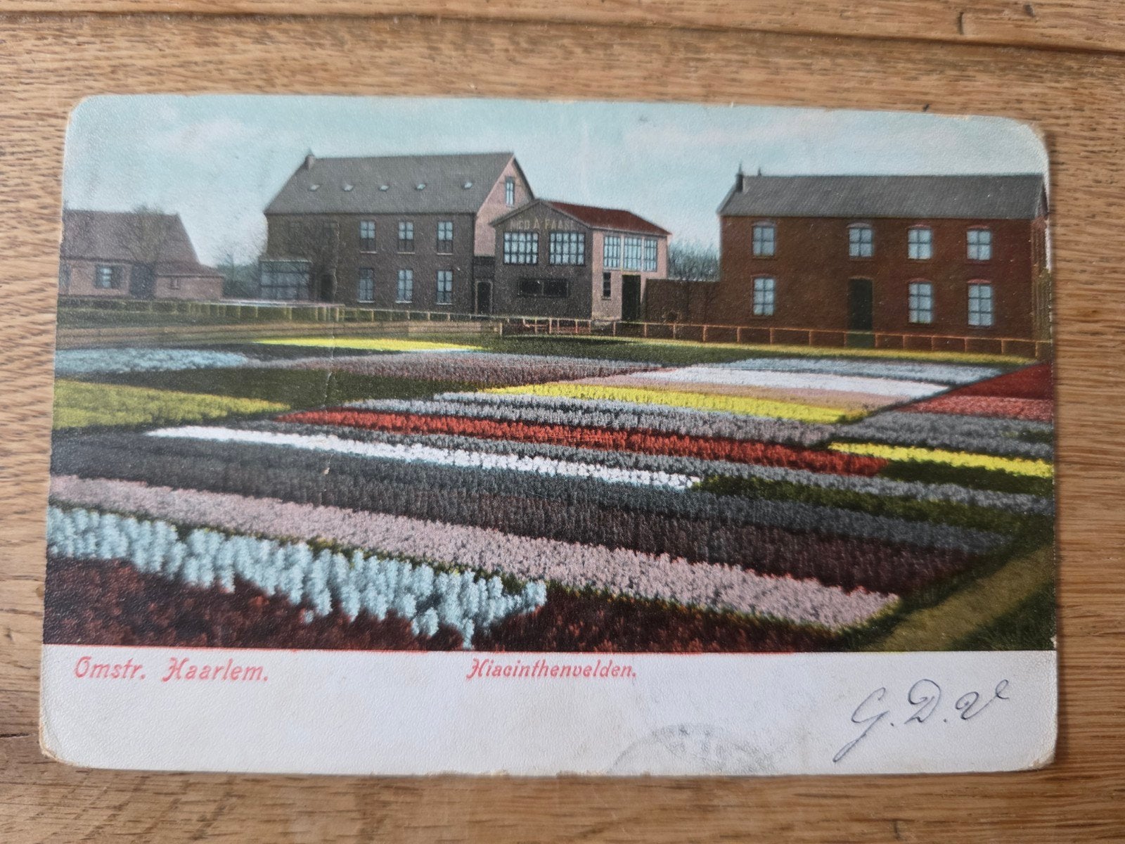 bollenvelden omgeving Haarlem, Ophalen of Verzenden