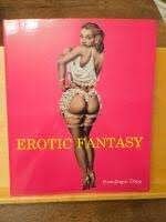 Erotic Fantasy, Ophalen of Verzenden, Zo goed als nieuw, Hans-Jürgen Döpp, Schilder- en Tekenkunst