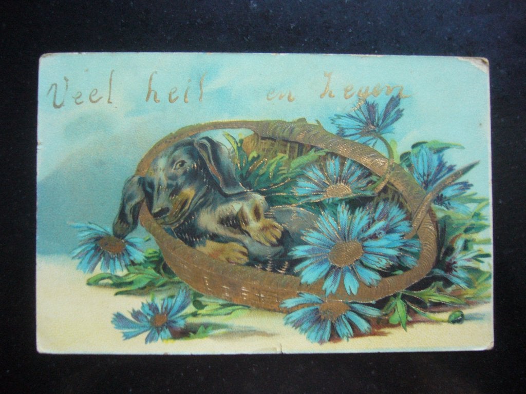 TEKKEL - GOUDEN MAND . BLOEMEN = VEEL HEIL EN ZEGEN BRIEFK, Ophalen of Verzenden, Voor 1920, Gelopen, Hond of Kat