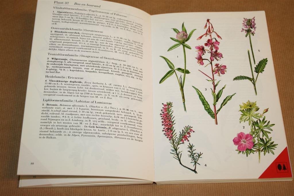 Plantengids in kleur - Thieme - T.H. Schauer, C. Caspari, Boeken, Natuur, Ophalen of Verzenden, Zo goed als nieuw, Bloemen, Planten en Bomen