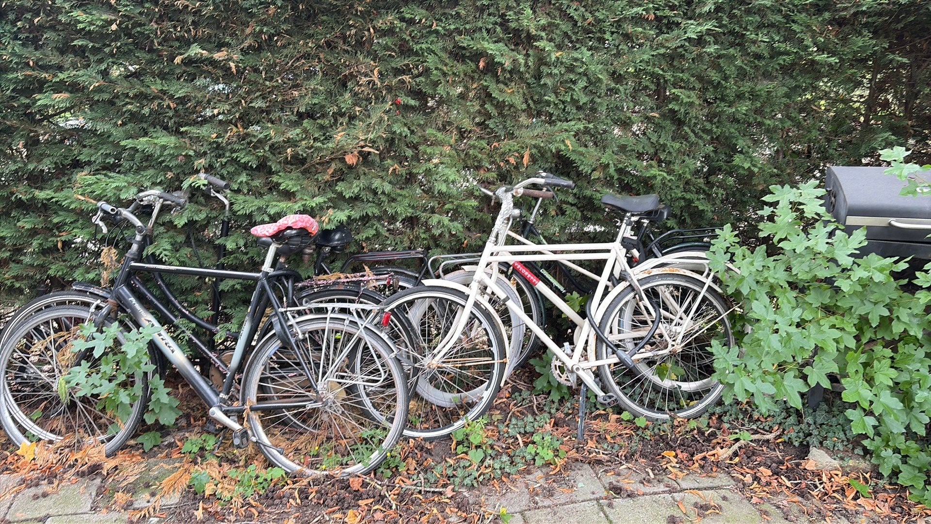 Fietsen, Fietsen en Brommers, Ophalen, Gebruikt, 1 kind