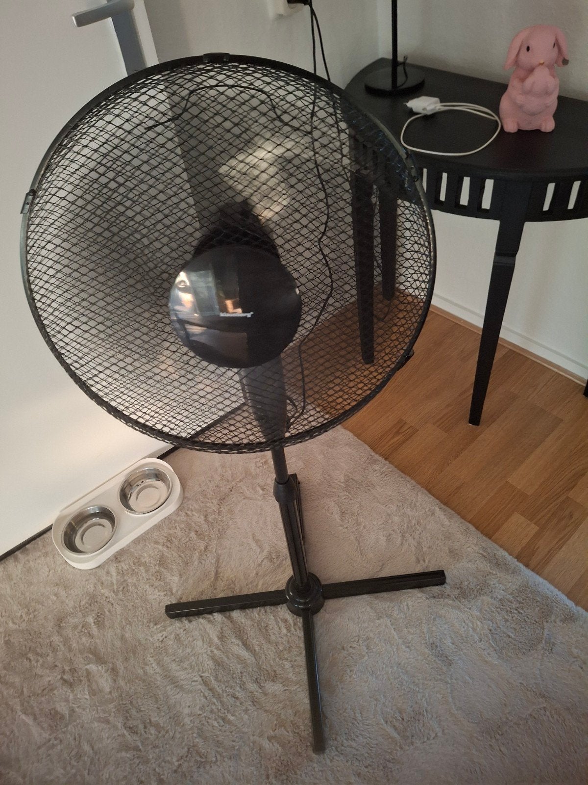 Nieuwe Zwarte Statiefventilator - Krachtige Koeling, Ophalen, Nieuw, Statiefventilator