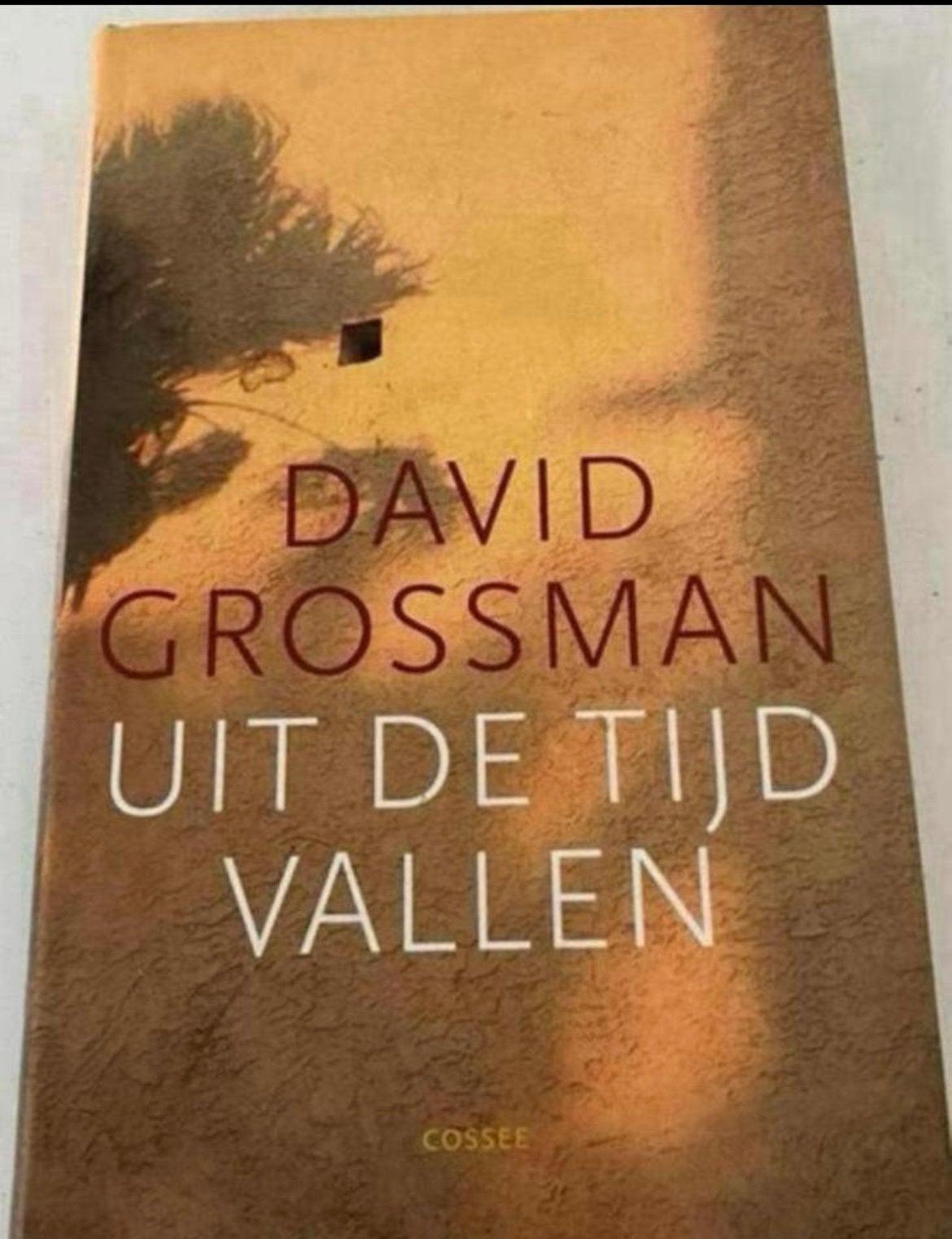 DAVID GROSSMAN - UIT DE TIJD VALLEN, Ophalen of Verzenden, Gelezen
