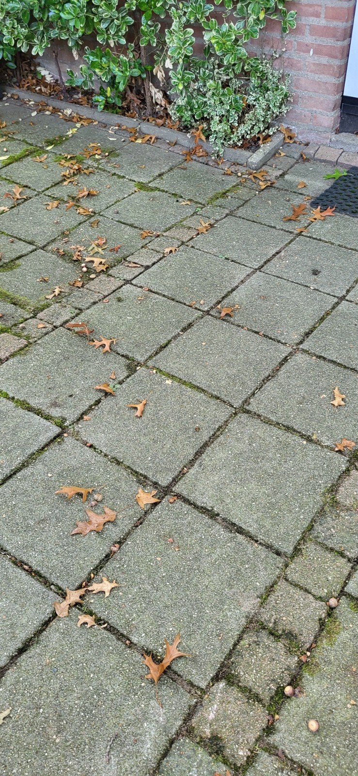 stoeptegels 30x30 en cobble Stones gratis op te halen., Tuin en Terras, Ophalen, Gebruikt, Beton, Terrastegels