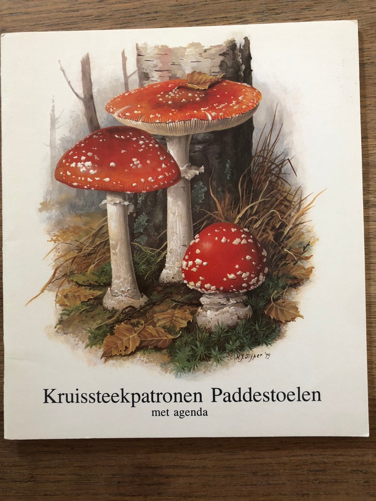 Borduurkalender, Ophalen of Verzenden, Zo goed als nieuw, Patroon