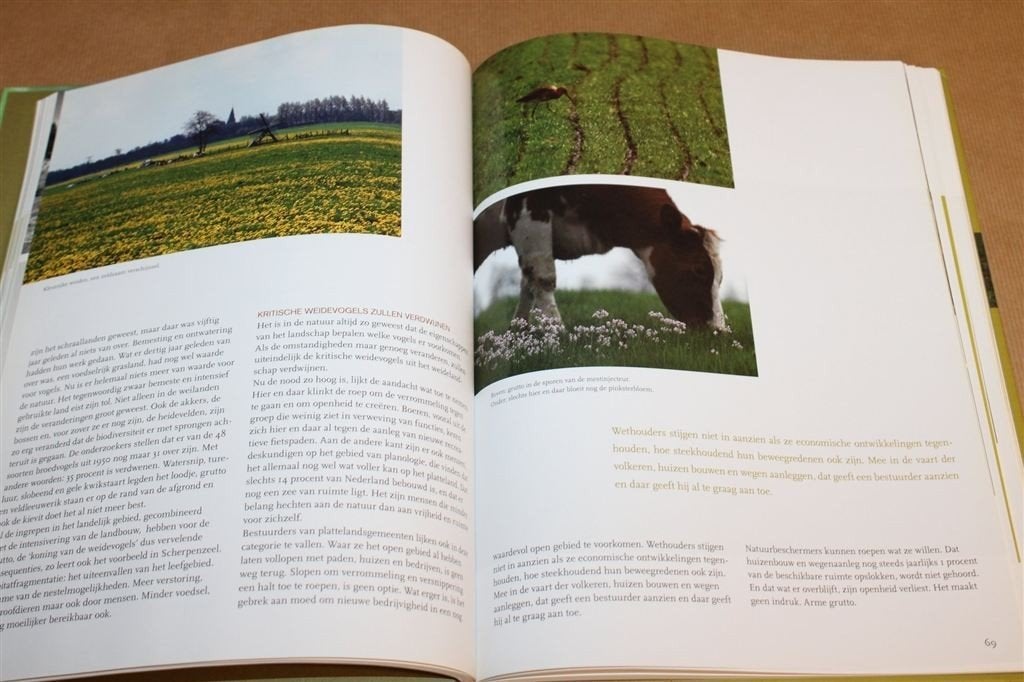Grondrecht voor de Grutto — Friese Weidevogels in Beeld, Ophalen of Verzenden, Gelezen, Katten
