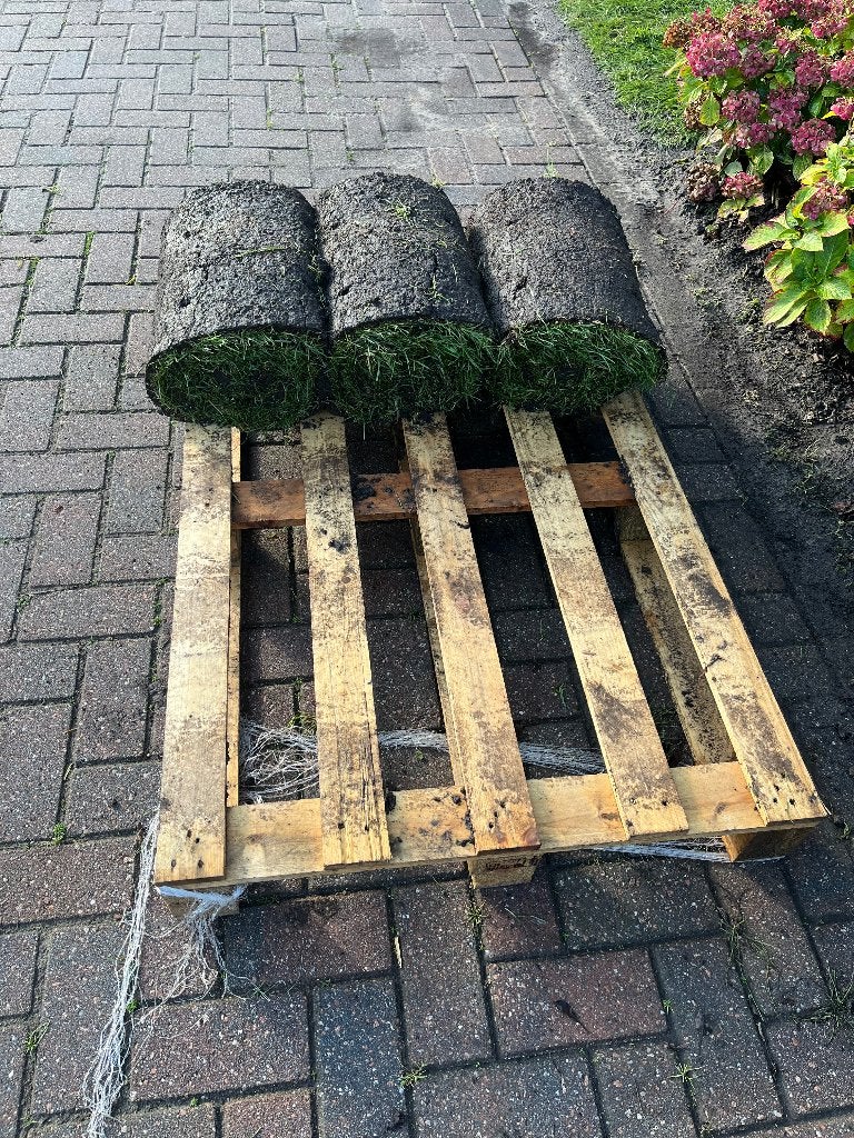 Pallet gratis, Ophalen, Minder dan 25 mm, Zo goed als nieuw, Minder dan 200 cm