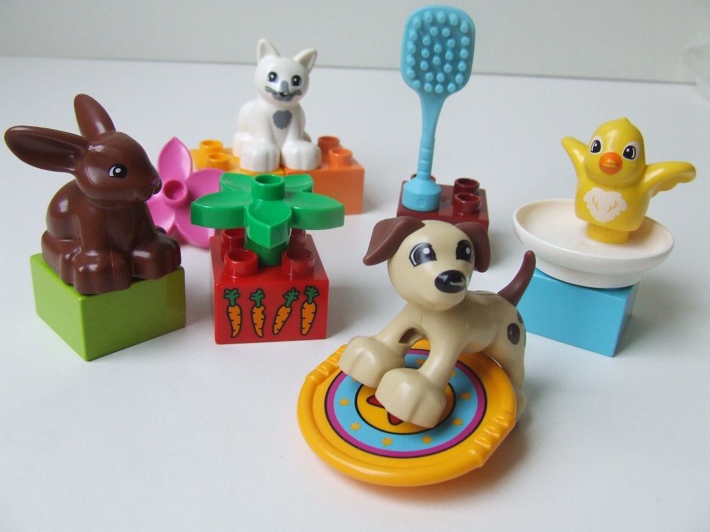 Duplo set 10838 – Huisdieren / Family Pets (compleet), Ophalen of Verzenden, Zo goed als nieuw, Compleet, Duplo