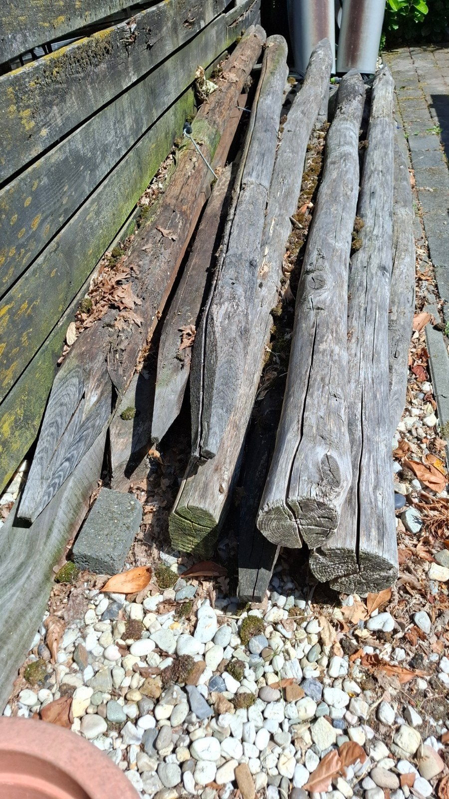 Robuuste kastanje houten palen 11 stuks, Ophalen, Gebruikt, 250 cm of meer, Palen
