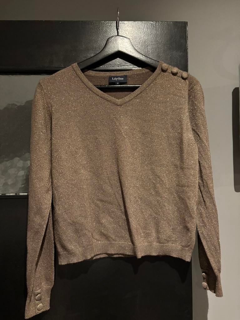 Lilytime shirt maat m, Kleding | Dames, Maat 38/40 (M), Bruin, Ophalen of Verzenden, Zo goed als nieuw
