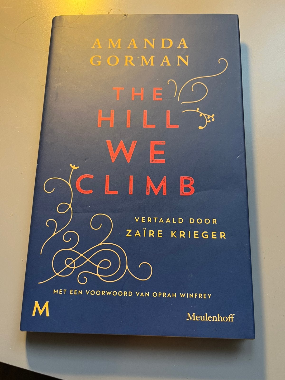 Amanda Gorman - The Hill We Climb, Ophalen of Verzenden, Zo goed als nieuw, Amanda Gorman