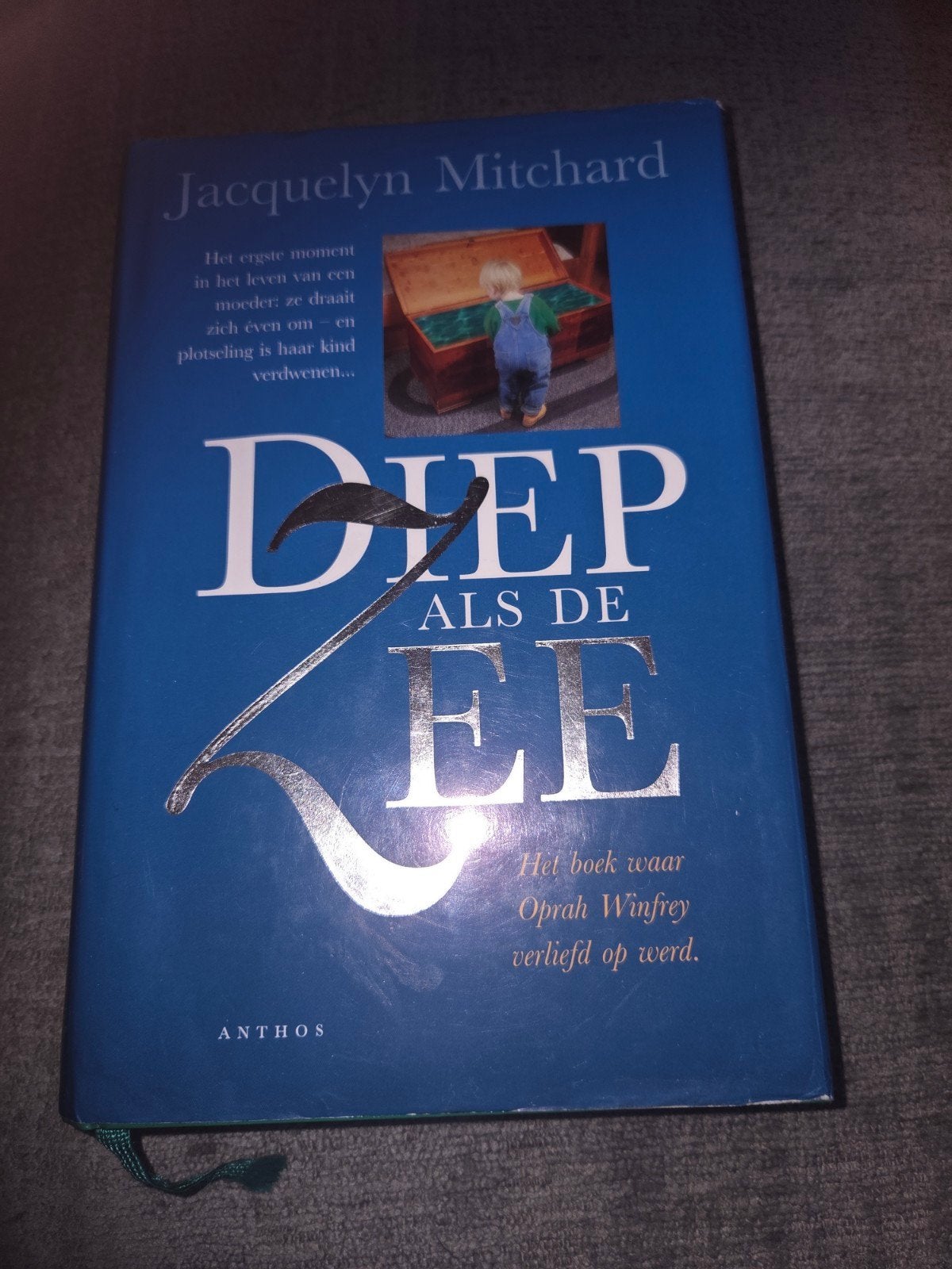 Diep als de Zee - Jacquelyn Mitchard (Oprah's Book Club), Boeken, Ophalen of Verzenden, Gelezen, Jacquelyn Mitchard, Nederland