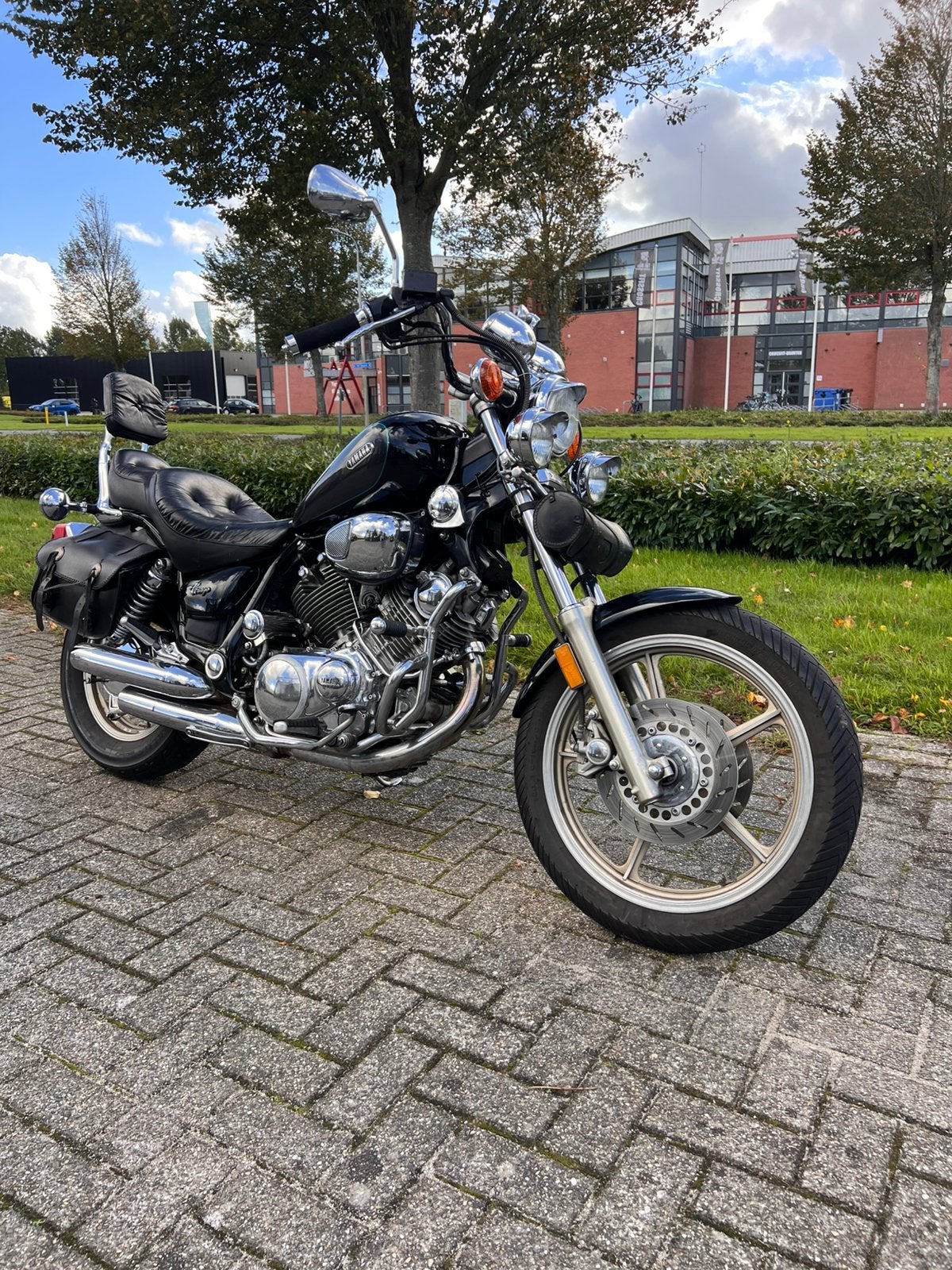 1991 Virago XV1100, Particulier