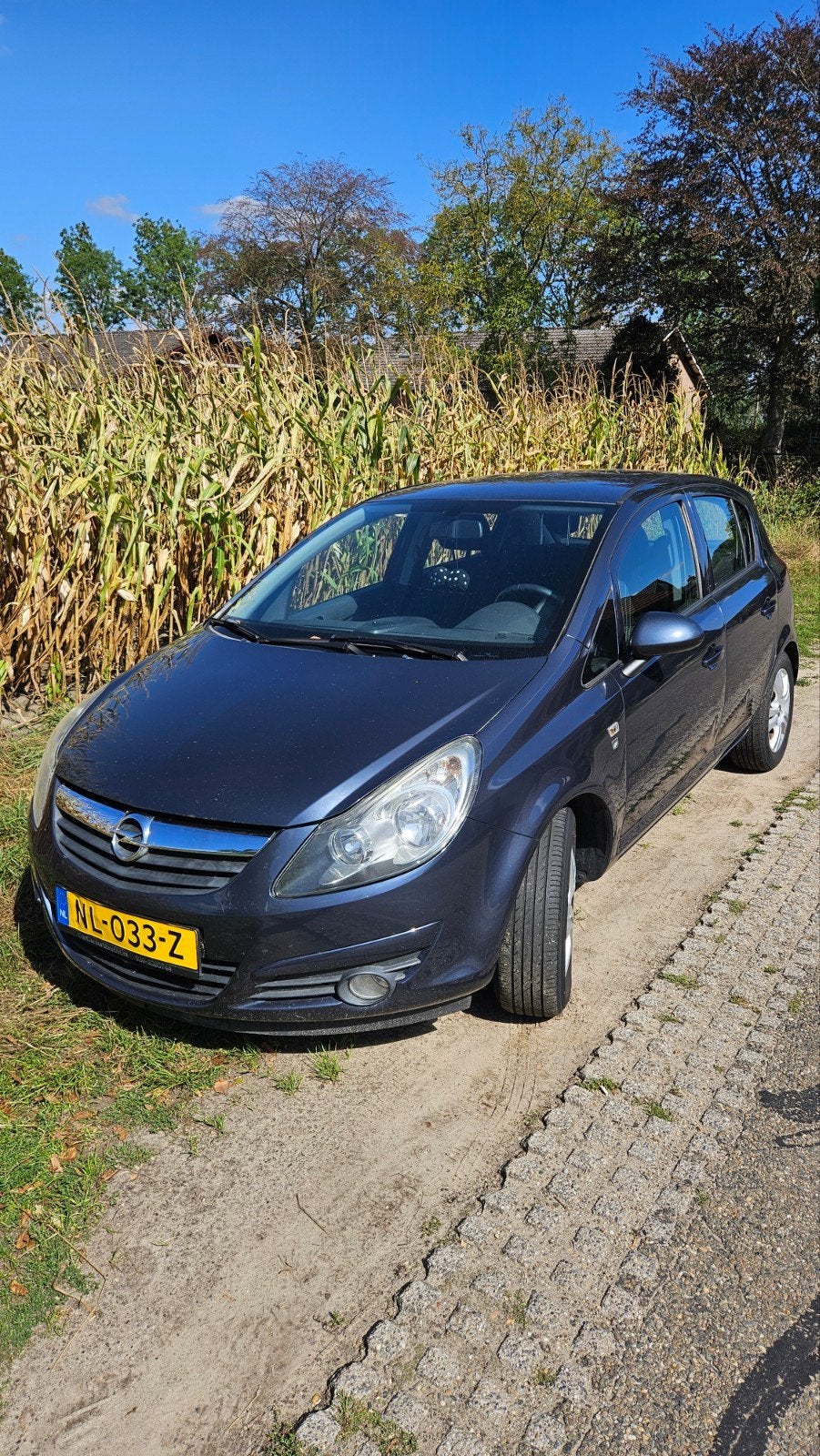 Opel Corsa 1.2 16V 5D 2010 Blauw, Auto's, Voorwielaandrijving, 4 cilinders, Blauw, 1229 cc