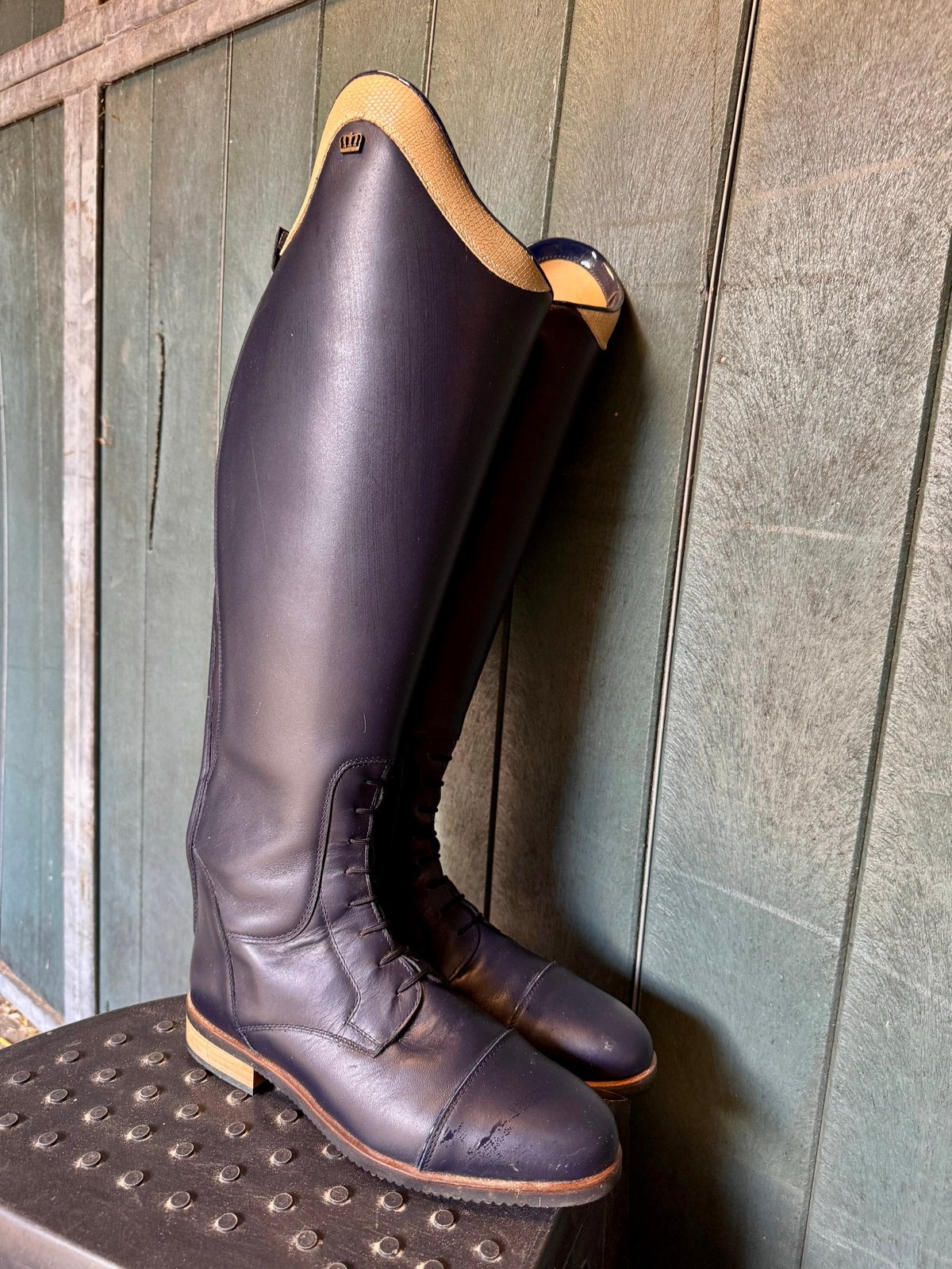 Nieuwe Kingsley Leren Dressuur Laarzen,brede kuit., Dieren en Toebehoren, Ophalen of Verzenden, Nieuw, Dressuur