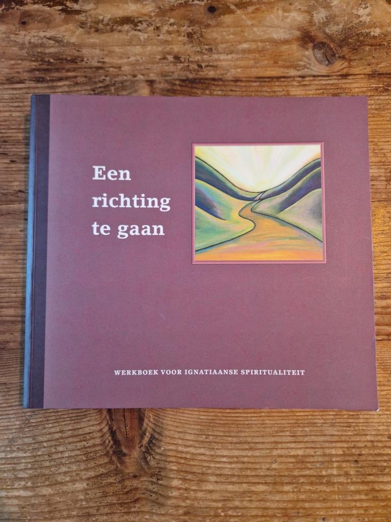 Een richting te gaan - werkboek v Ignatiaanse spiritualiteit, Boeken, Ophalen of Verzenden, Zo goed als nieuw