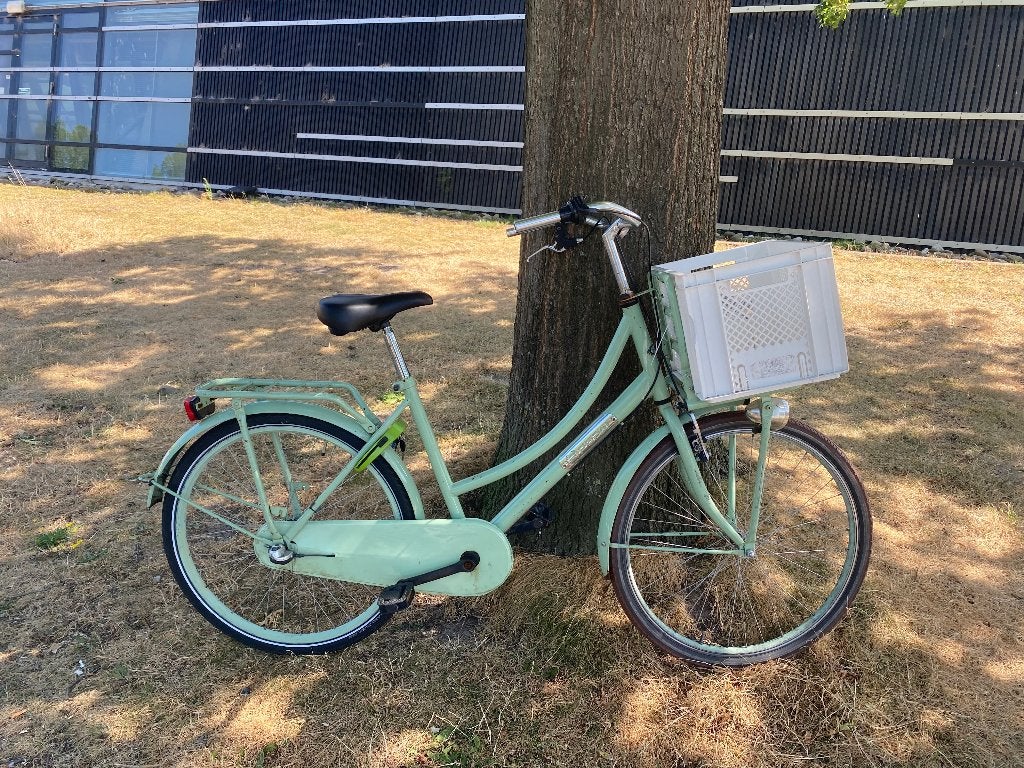 Fiets, Fietsen en Brommers, Fietsen | Dames | Damesfietsen, Ophalen, Gebruikt, Overige merken