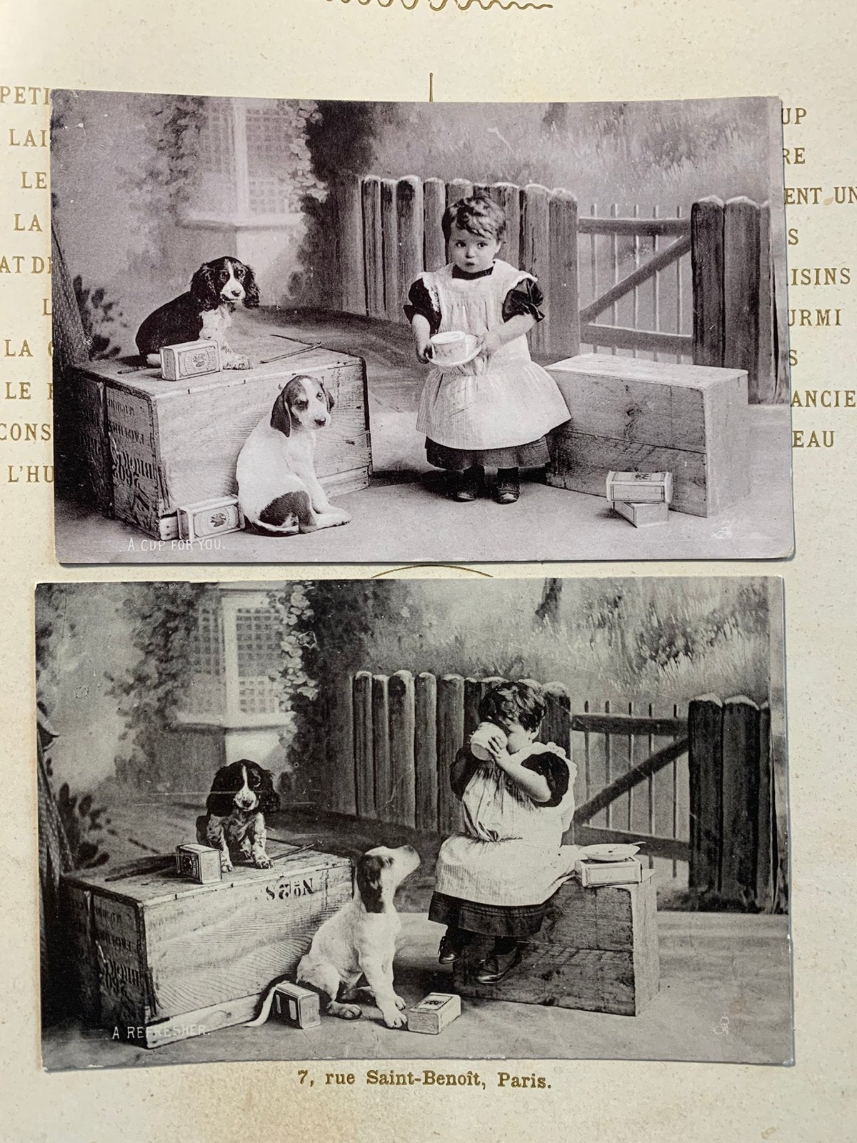 Meisje met twee hondjes (SL), Ophalen of Verzenden, Kinderen