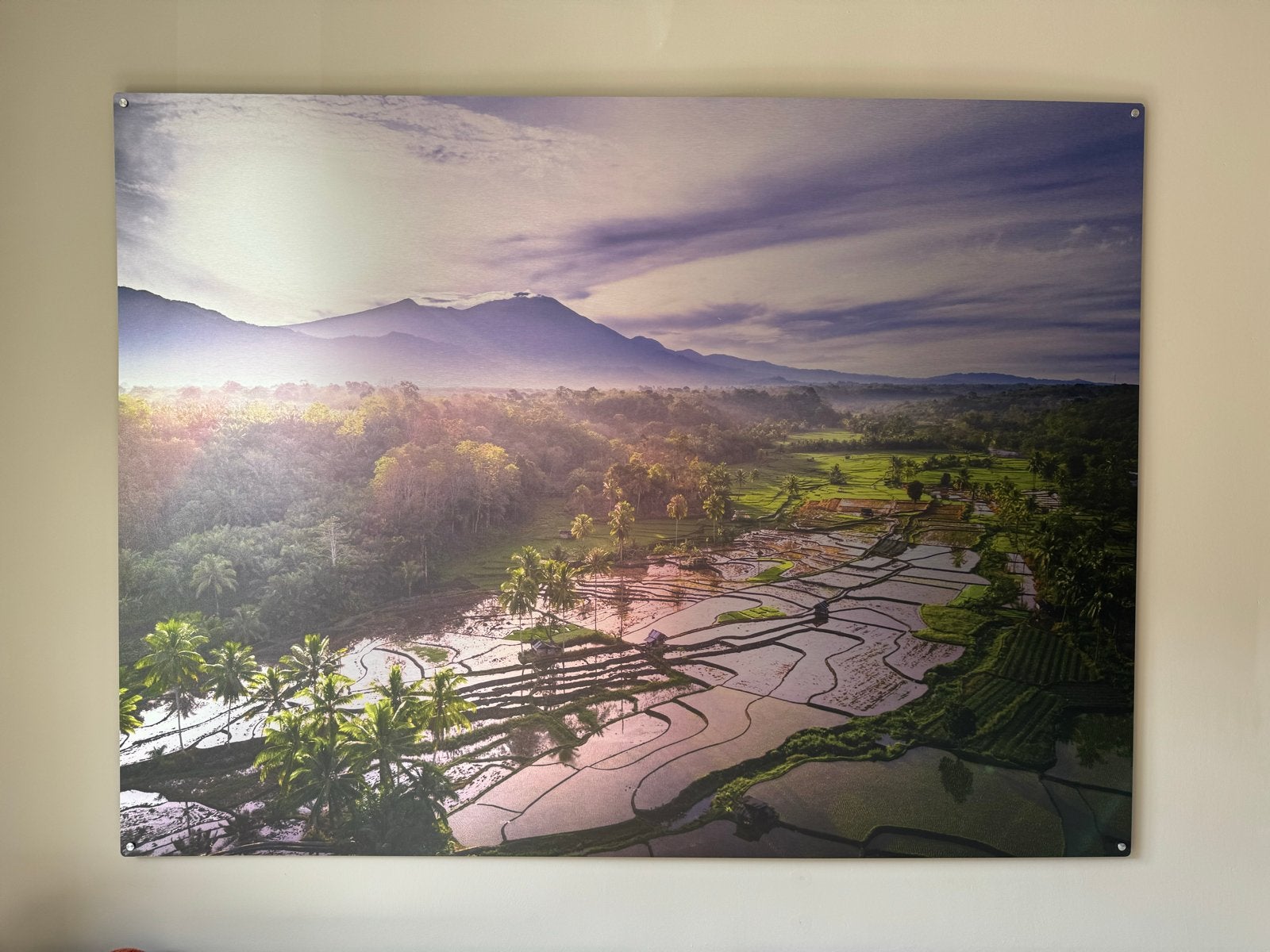 Prachtige foto, geborsteld aluminium, rijstvelden op Bali, Ophalen, 125 cm of meer, Zo goed als nieuw, Foto of Poster