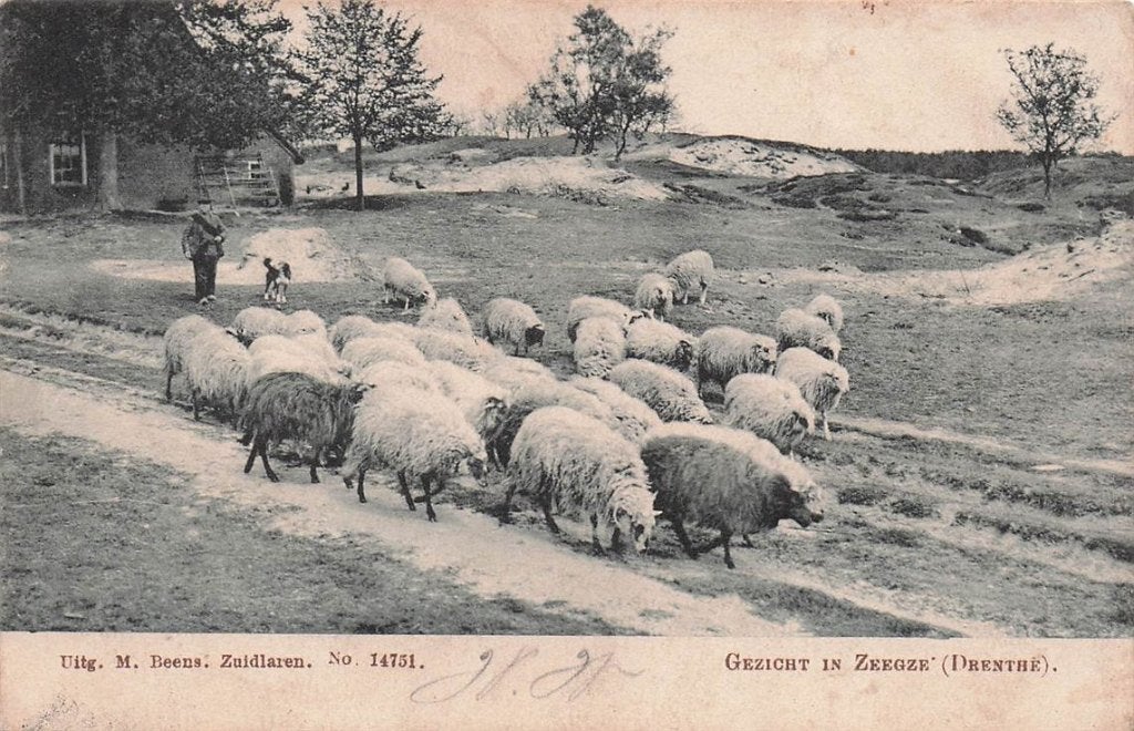 703-133-037 Gezicht In Zeegse (Drenthe), Verzenden, Voor 1920, Drenthe