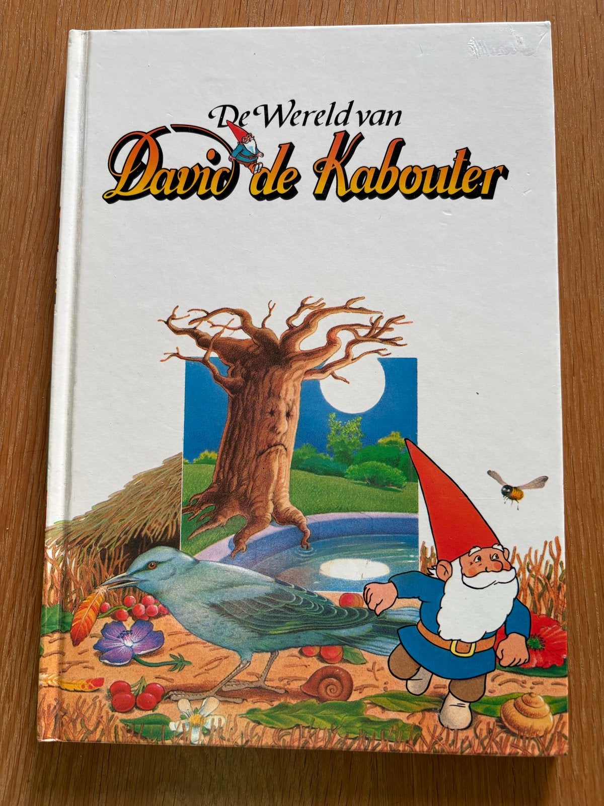 De Wereld van David de Kabouter - Educatief Boek, Boeken, Ophalen of Verzenden, Gelezen, Non-fictie