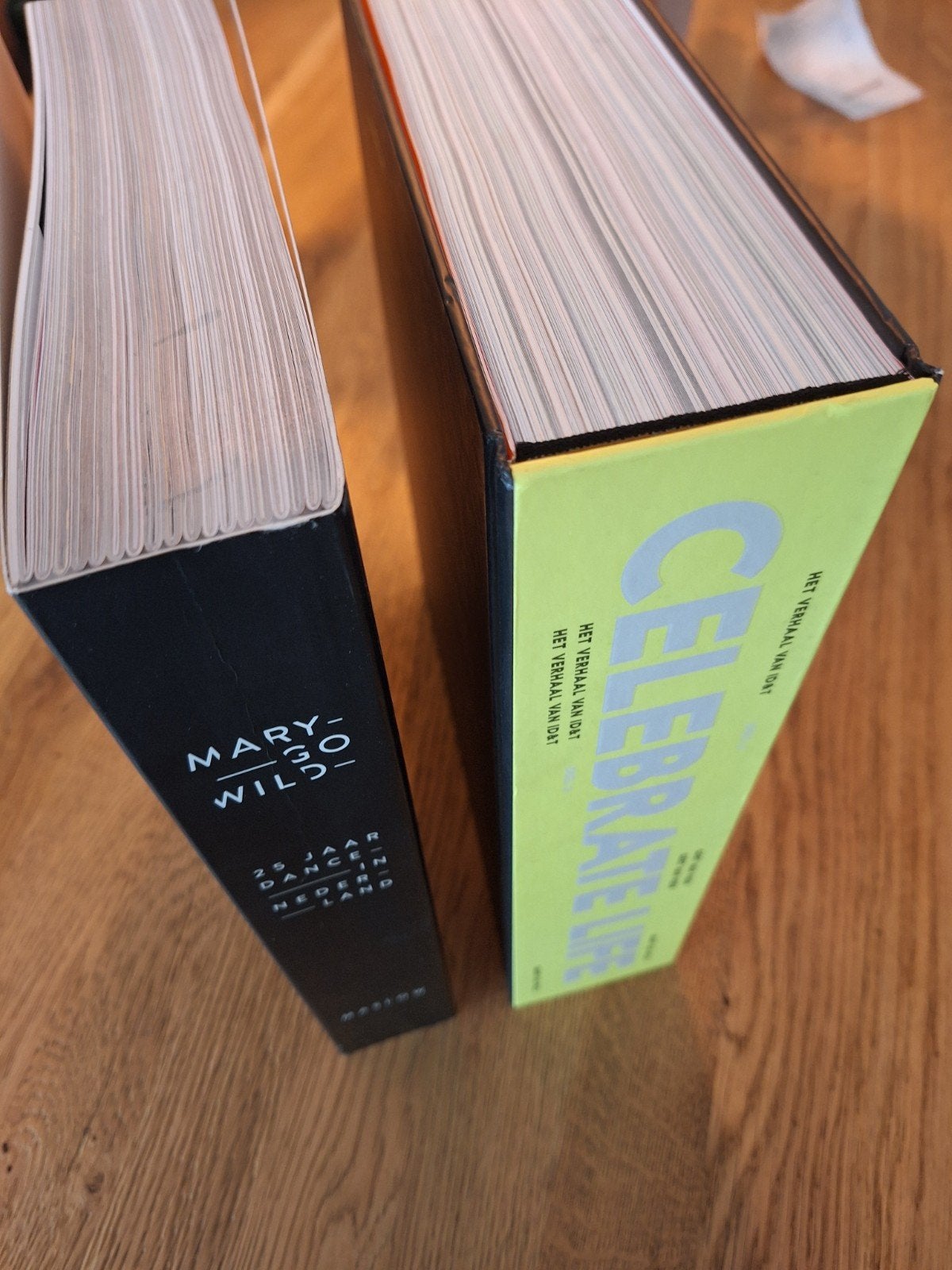 Mary Go Wild & Celebrate Life deel 2 - Dance boeken, Ophalen of Verzenden, Zo goed als nieuw
