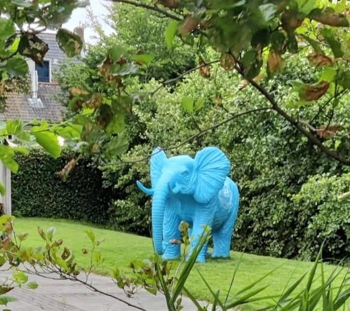 Olifant, Koe, Nijlpaard, Geit, Kalf, Gorilla, Dierenbeelden, Tuin en Terras, Tuinbeelden, Ophalen, Nieuw, Kunststof, Dierenbeeld