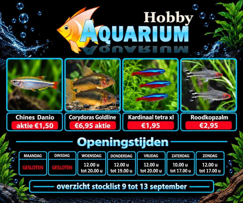 Hobbyaquarium overzicht vissen / aktie 9 tot13 September, Vis, Zoetwatervis, Schoolvis