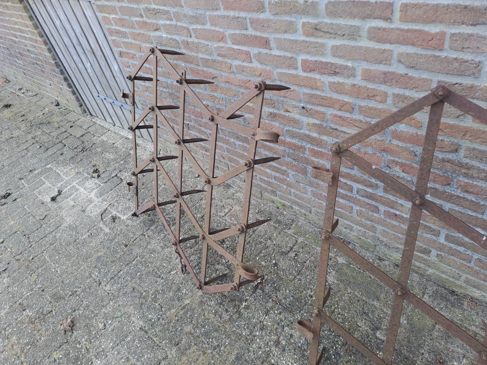 Oude antieke eg, Ophalen