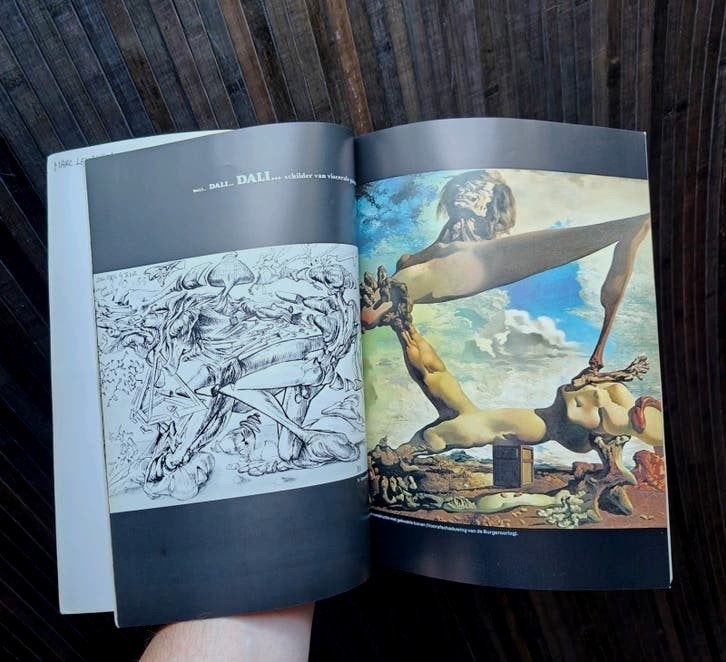 Dali... Dali... Dali... Boek over Salvador Dalí, Ophalen of Verzenden, Gelezen, Overige onderwerpen, Salvador Dalí
