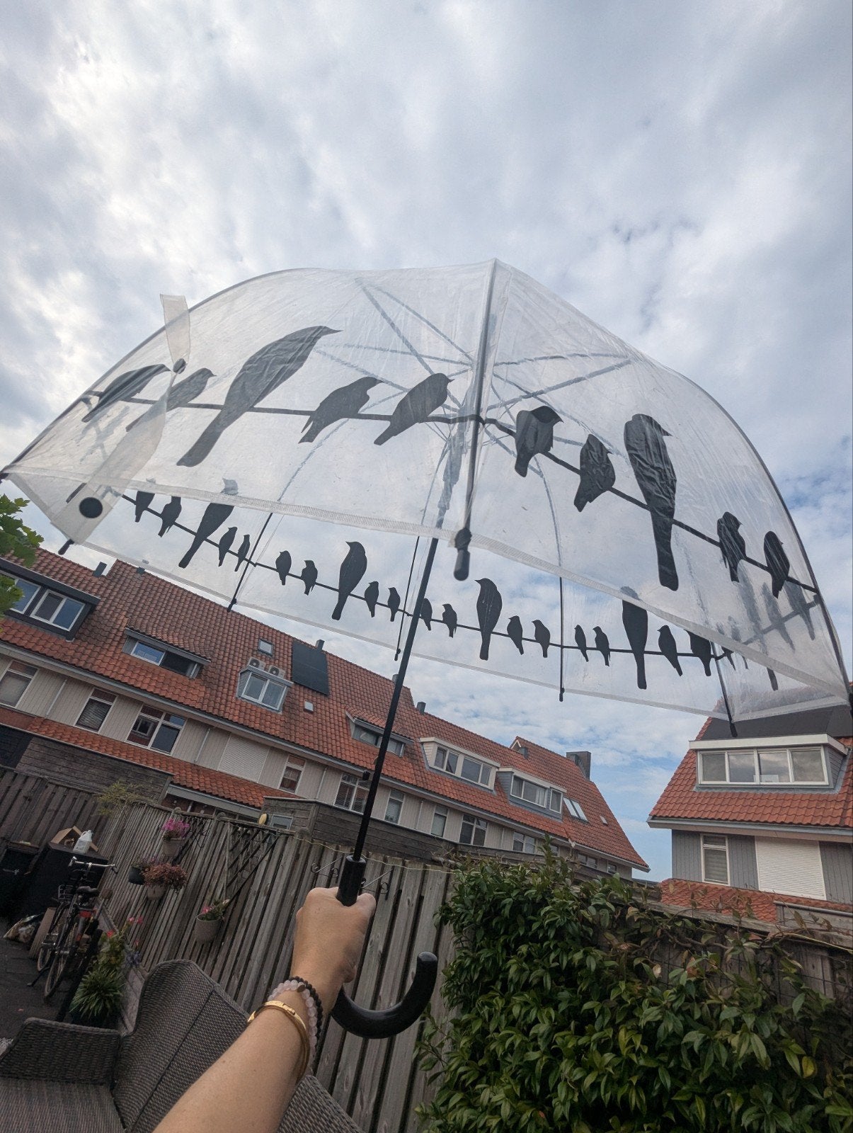 vogel paraplu, Ophalen, Transparant, Nieuw
