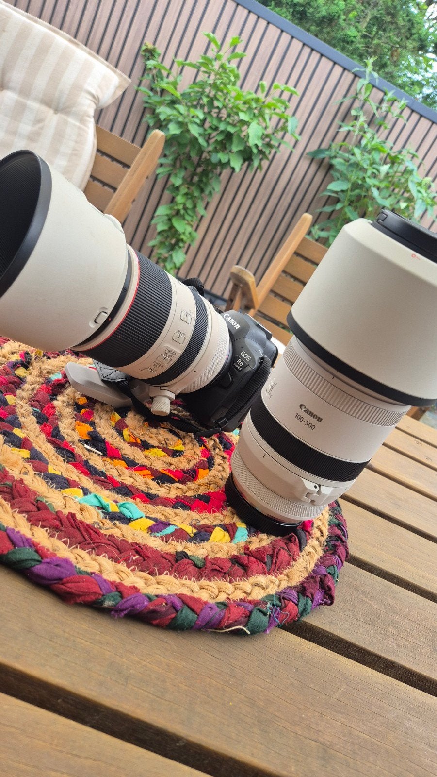 Canon R6 Mark II met 100-500mm en 70-200mm f/2.8 lenzen, Ophalen, Zo goed als nieuw, Canon, 8 keer of meer