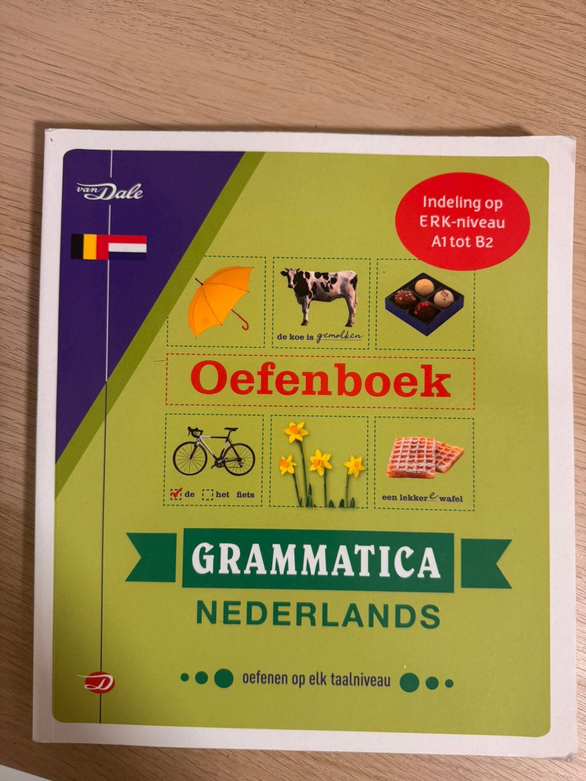 Van Dale Oefenboek Grammatica Nederlands A1-B2, Ophalen of Verzenden, Zo goed als nieuw