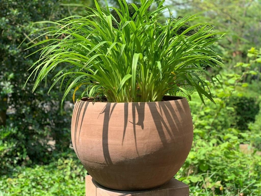 Caspo Alto | Terracotta Bloempot, Rond, Nieuw, Ophalen of Verzenden, Balkon