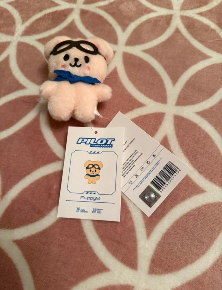 Stray Kids SKZOO PuppyM Pilot plush, Ophalen of Verzenden, Nieuw, Overige typen