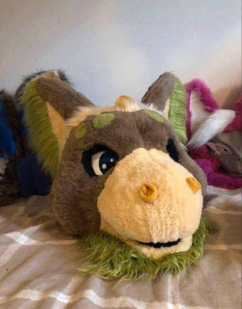 Fursuit dutchangle dragon, Ophalen of Verzenden, Zo goed als nieuw, Overige typen
