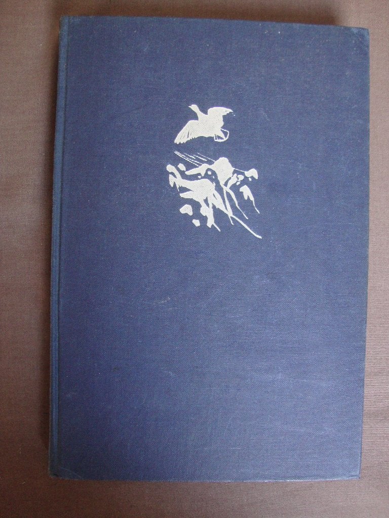 DE LAWINE Bjorn-Erik Hoijer, Ophalen of Verzenden, Gelezen