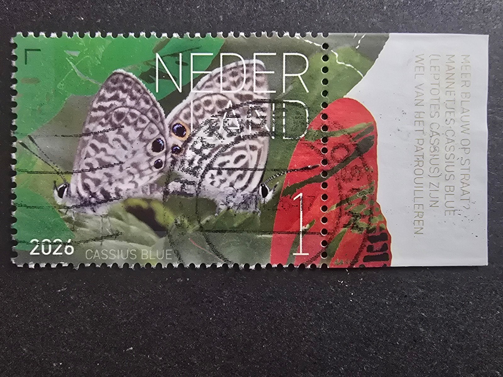 Beleef de Natuur Saba 2026 - Cassius Blue - Met Tab, Postzegels en Munten, Postzegels | Nederland, Ophalen of Verzenden, Na 1940