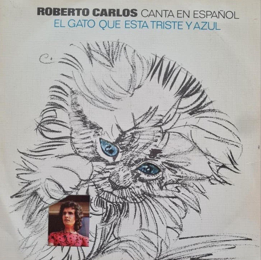 ROBERTO CARLOS - CANTA EN ESPANOL, Ophalen of Verzenden, Gebruikt